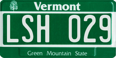 VT license plate LSH029