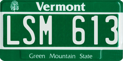 VT license plate LSM613