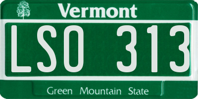 VT license plate LSO313