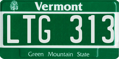 VT license plate LTG313