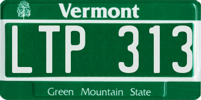 VT license plate LTP313