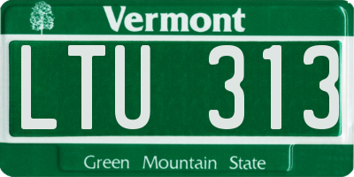 VT license plate LTU313