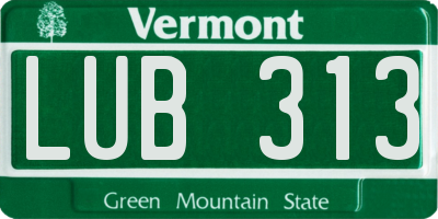 VT license plate LUB313