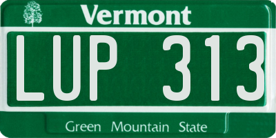 VT license plate LUP313
