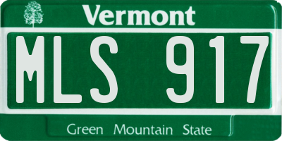 VT license plate MLS917