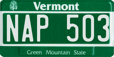 VT license plate NAP503