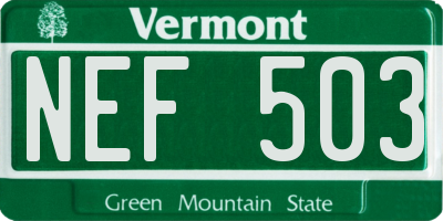 VT license plate NEF503