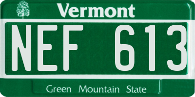 VT license plate NEF613