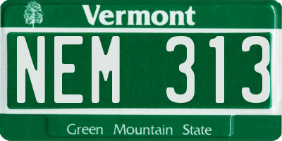 VT license plate NEM313