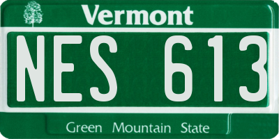 VT license plate NES613