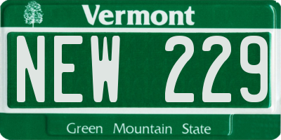 VT license plate NEW229