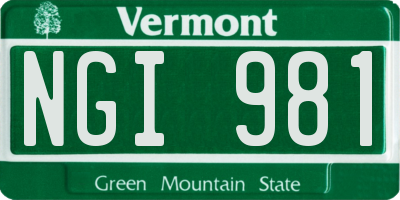 VT license plate NGI981