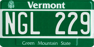 VT license plate NGL229