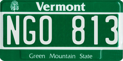 VT license plate NGO813