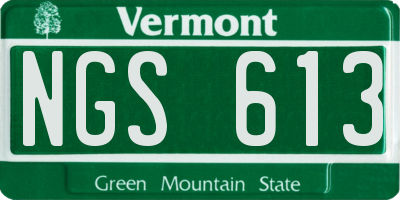 VT license plate NGS613