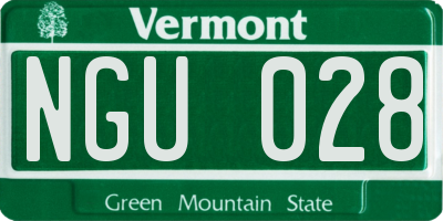 VT license plate NGU028