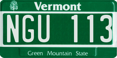 VT license plate NGU113