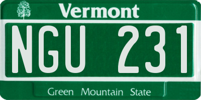 VT license plate NGU231