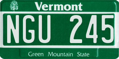 VT license plate NGU245