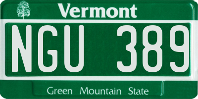 VT license plate NGU389