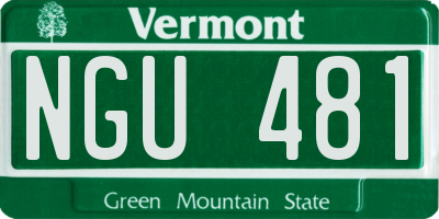 VT license plate NGU481