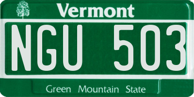 VT license plate NGU503