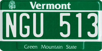VT license plate NGU513
