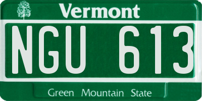 VT license plate NGU613