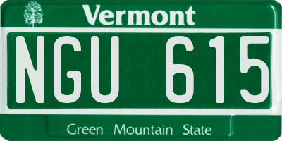 VT license plate NGU615