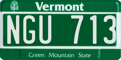 VT license plate NGU713