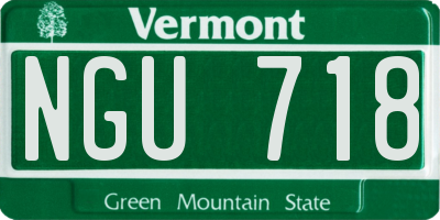 VT license plate NGU718
