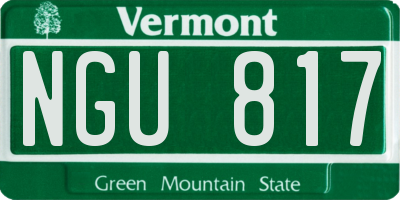 VT license plate NGU817
