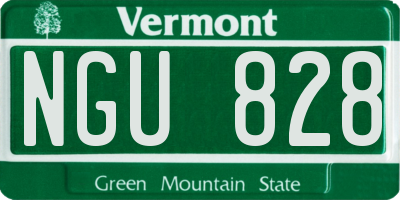 VT license plate NGU828