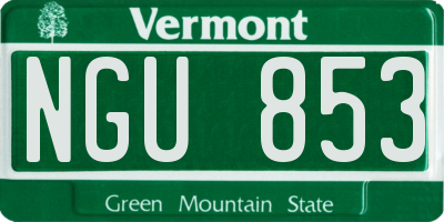 VT license plate NGU853
