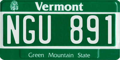 VT license plate NGU891