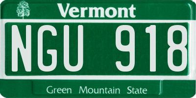 VT license plate NGU918