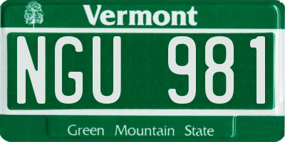 VT license plate NGU981
