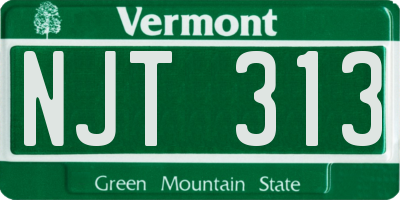 VT license plate NJT313