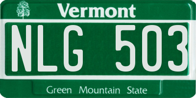 VT license plate NLG503