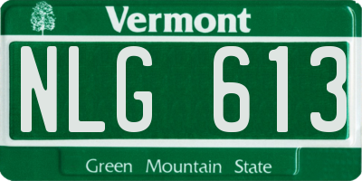 VT license plate NLG613