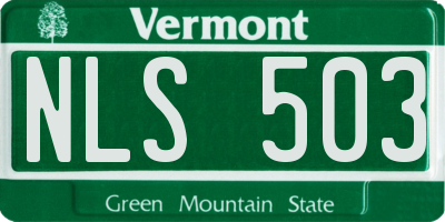VT license plate NLS503