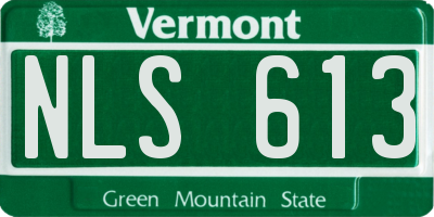 VT license plate NLS613