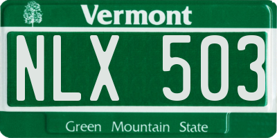VT license plate NLX503