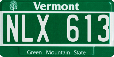 VT license plate NLX613