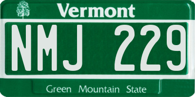 VT license plate NMJ229