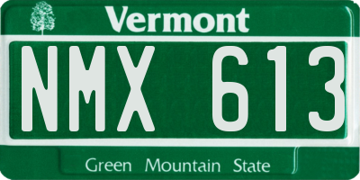 VT license plate NMX613