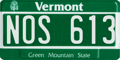 VT license plate NOS613