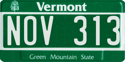 VT license plate NOV313