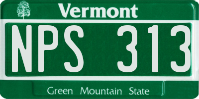 VT license plate NPS313