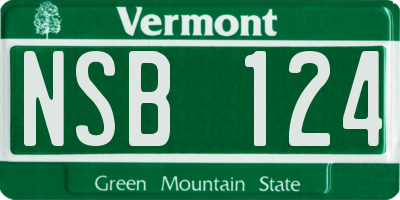 VT license plate NSB124